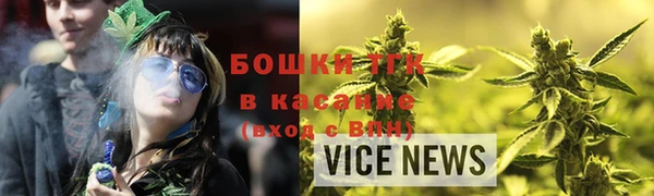 гидра Верхний Тагил