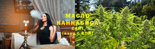 гидра Верхний Тагил
