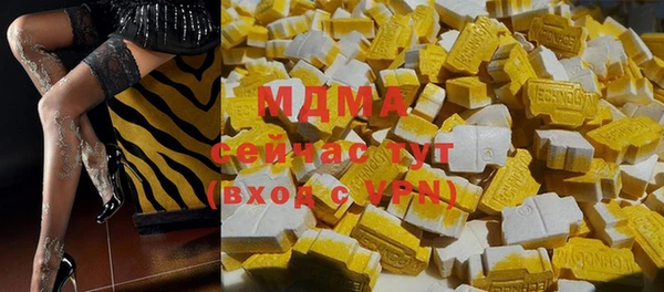 гидра Верхний Тагил