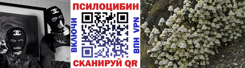 Галлюциногенные грибы прущие грибы  Нижнекамск 
